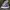 CONVERSE CT 70s HIGH X GOLF LE FLEUR QUILTED VELVET photo 1