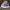 CONVERSE CT 70s HIGH X GOLF LE FLEUR QUILTED VELVET photo 1