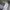 Carhartt Streetwear Sweater Pria gray photo 3