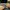 Smart watch XIAOMI BLACK SHARK GS 3  photo 1