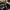 Smart watch XIAOMI BLACK SHARK GS 3  photo 2