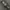 Seiko Vintage Casual Pria silver gray photo 1