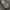Seiko Vintage Casual Pria silver gray photo 2