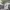 Carhartt Streetwear Sweater Pria gray photo 3