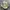 New Balance x Stone Island FuelCell RC Elite V2 White photo 2