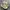 New Balance X Stone Island FuelCell RC Elite V2 White