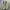 New Balance x Stone Island FuelCell RC Elite V2 White photo 4