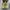 New Balance x Stone Island FuelCell RC Elite V2 White photo 5