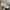 New Balance x Stone Island FuelCell RC Elite V2 White photo 1