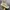 New Balance X Stone Island FuelCell RC Elite V2 White