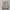 Fred Perry Vintage Casual Harrington jacket Pria tan brown photo 2