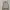 Fred Perry Vintage Casual Harrington Jacket Pria Tan Brown