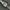 Seiko Vintage Casual Pria white photo 1