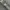 Seiko Vintage Casual Pria white photo 6