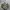 New Balance 992 Grey Made in USA photo 2