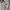 GAP Vintage Casual T-shirt Pria gray photo 3