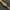 Vintage Casual Pria gold photo 1