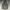 Napapijri Rainforest Casual Jacket