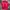 Tommy Hilfiger Track jacket Pria red photo 3