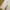 Stitch Patchwork Pants ADLV Acmé De La Vie ivory photo 8