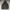 Jack Wolfskin Jacket