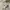 Fatigue Corduroy Pants Gramicci white photo 7