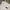Fatigue Corduroy Pants Gramicci white photo 5