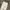 Fatigue Corduroy Pants Gramicci white photo 4