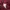 Hazzys Minimalist Casual Polo shirt Pria burgundy photo 3