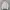 Issey Miyake Vintage Y2K Harrington jacket Pria cream tan photo 2