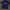 Parkland Minimalist Casual Polo shirt Pria purple navy photo 1