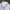 McGregor Biker Casual Harrington jacket Pria cream photo 2