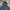 Columbia Windbreaker Pria navy photo 2