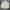 Jones New York Harrington jacket Pria cream photo 1