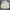 Jones New York Harrington Jacket Pria Cream