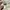 Jones New York Harrington jacket Pria cream photo 5