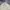 Jones New York Harrington jacket Pria cream photo 3