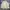 Jones New York Harrington jacket Pria cream photo 4