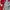 ADIDAS LIVERPOOL (E14799) photo 3
