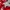ADIDAS LIVERPOOL (E14799) photo 4