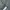 WHO.A.U Minimalist Casual Harrington jacket Pria gray photo 3