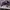 Adidas Skater Casual Sneakers Pria purple photo 1