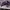 Adidas Skater Casual Sneakers Pria Purple