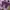 Adidas Skater Casual Sneakers Pria purple photo 3