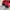 PUMA SPEEDCAT OG photo 6