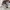 CONVERSE 70s Low photo 6