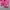 Adidas Casual Windbreaker Wanita pink photo 3