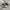 CONVERSE 70s Low photo 1