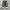 CONVERSE 70s Low photo 4