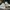 CONVERSE CT 70s GRAY TIE DYE CLEARSOLE photo 3